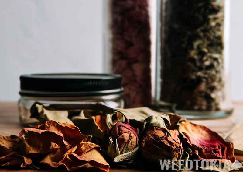 Dry rose petals and weed and rose jars
