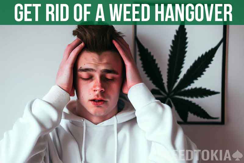 How to Get Rid of a Weed Hangover