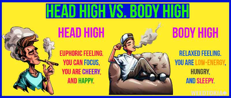 Infographic Showing Head High vs Body High Effects