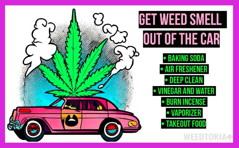 Infographic Showing How to Get Weed Smell Out of Cars