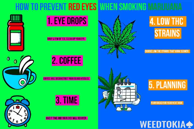 Infographic showing how to prevent red eyes from marijuana