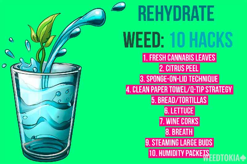 Infographic Showing Ways to Rehydrate Weed