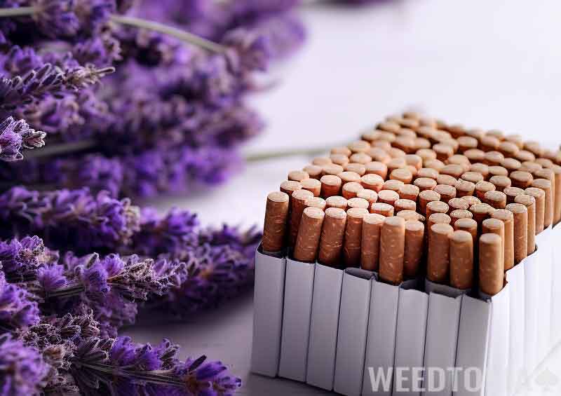Lavender cigarettes on table