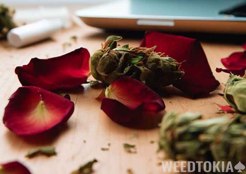 Marijuana and rose petals