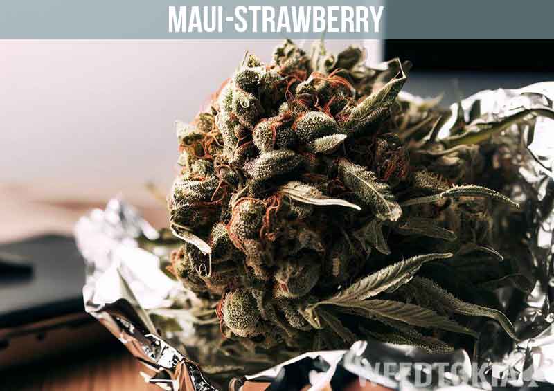 Maui Strawberry strain in tinfoil