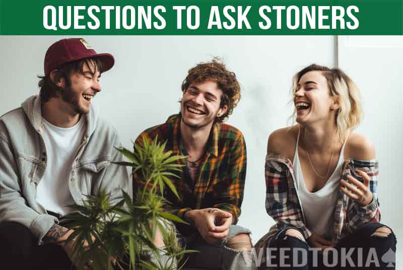 Questions to Ask High People Featured Image