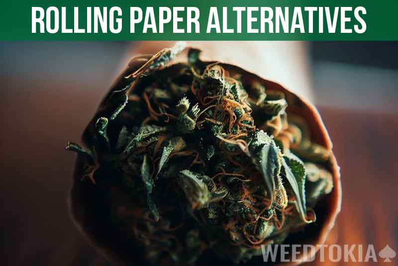 Rolling Paper Alternatives Featured Image