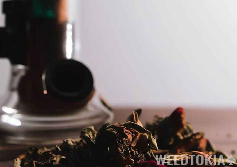 Rose petals and bong