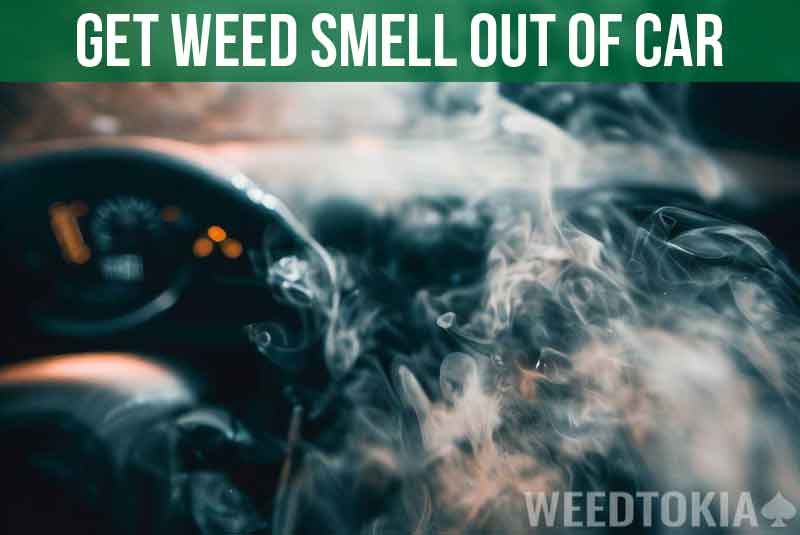 Ways to Get Weed Smell Out of Your Car