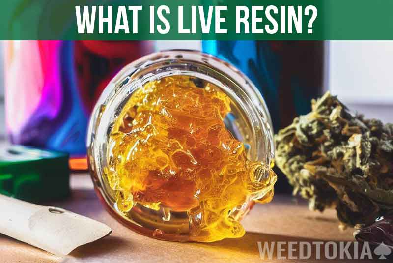 What Is Live Resin Featured Image