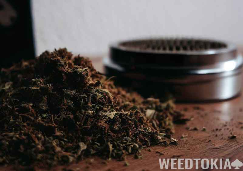 Hash and grinder