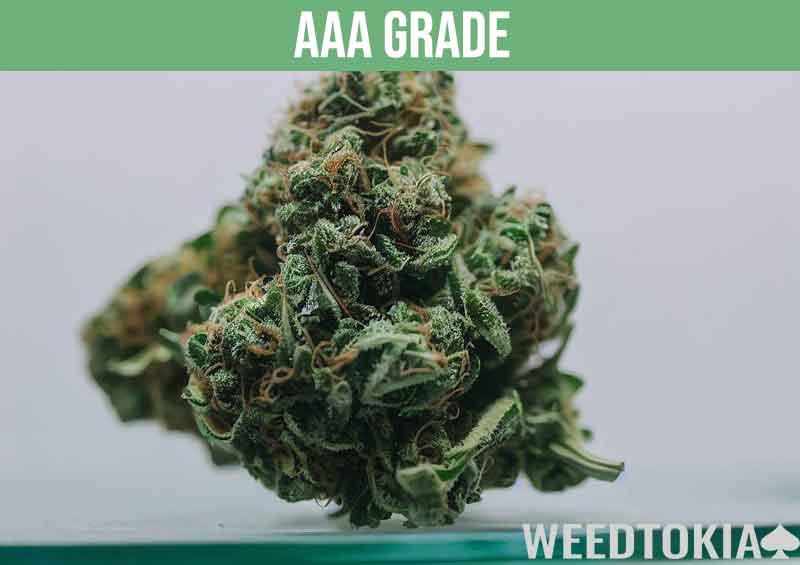 AAA grade marijuana of excellent quality