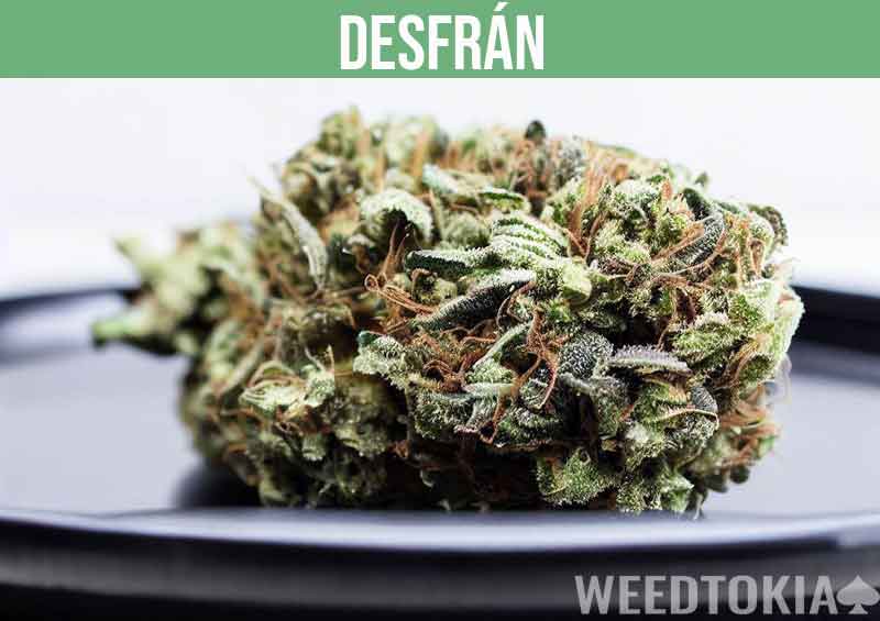 Desfrán strain