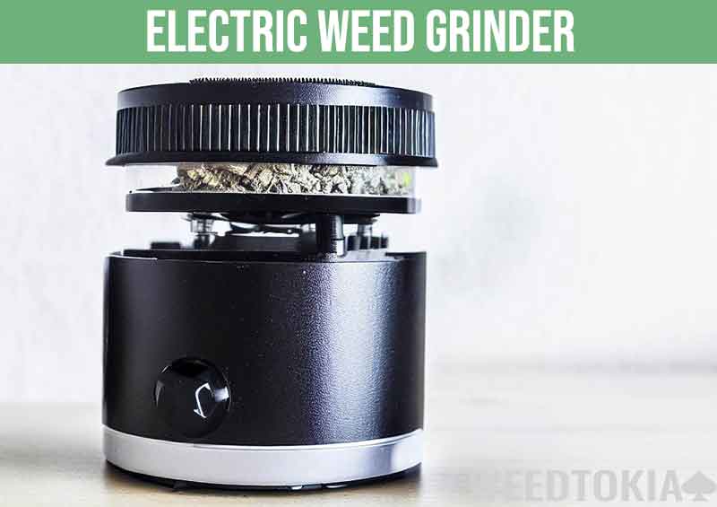 Electric weed grinder on a table
