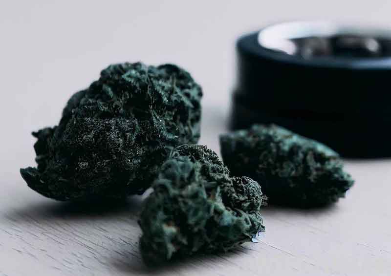 Moon Rocks next to a grinder