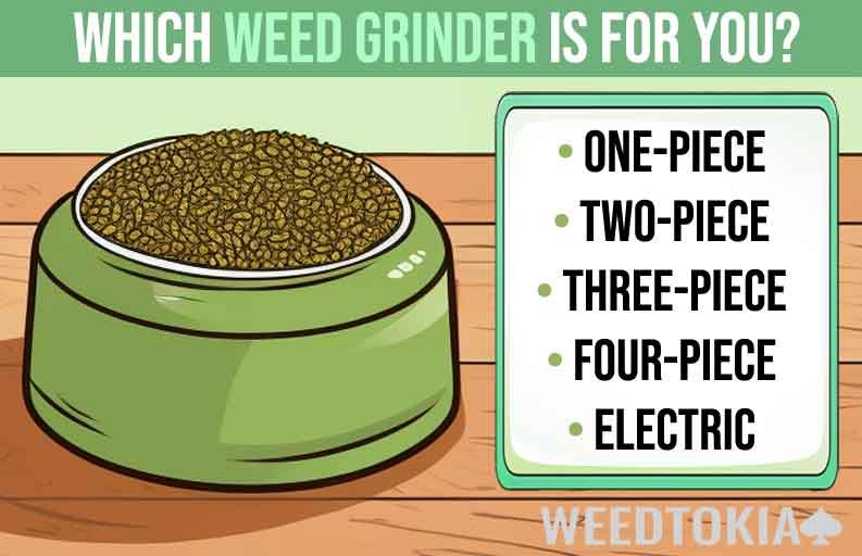 Types of weed grinders infographic