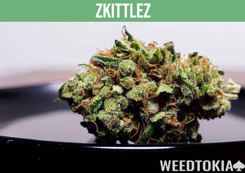 Zkittlez cannabis strain on our plate