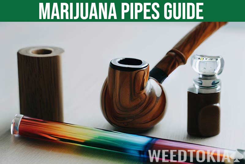 The 10 Types of Weed Pipes Explained (2024 Guide) - Weedtokia